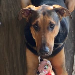 Meet your Posher, Dana